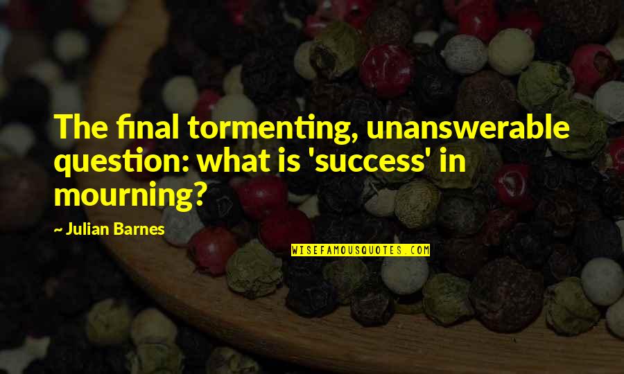 Grief And Mourning Quotes By Julian Barnes: The final tormenting, unanswerable question: what is 'success'