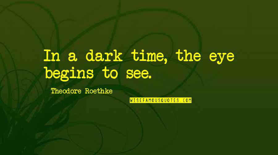 Grief Over Time Quotes By Theodore Roethke: In a dark time, the eye begins to