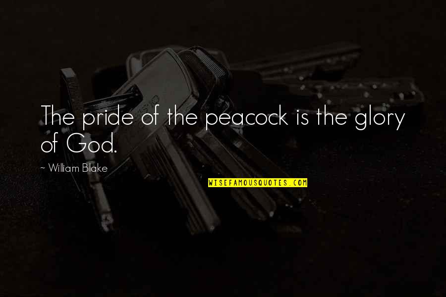 Griesemer Covered Quotes By William Blake: The pride of the peacock is the glory Griesemer Covered Quotes By William Blake: The pride of the peacock is the glory