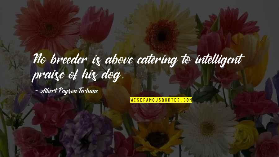 Grievious Quotes By Albert Payson Terhune: No breeder is above catering to intelligent praise