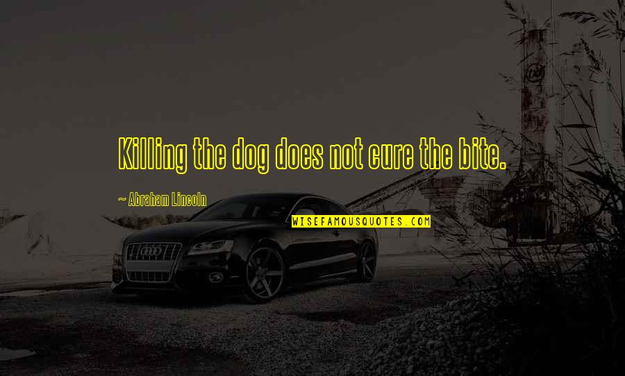 Grievously Define Quotes By Abraham Lincoln: Killing the dog does not cure the bite.