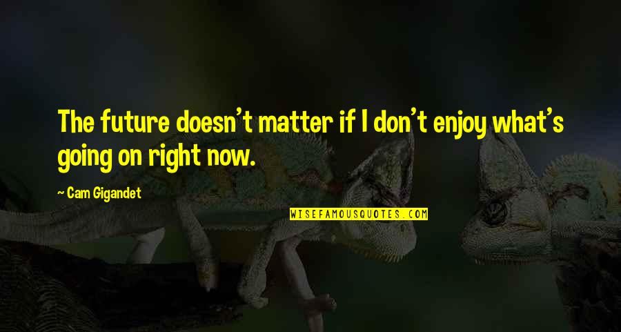 Griffin And Phoenix Memorable Quotes By Cam Gigandet: The future doesn't matter if I don't enjoy