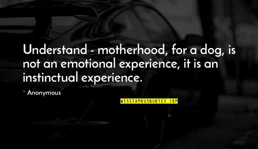 Griffioen Quotes By Anonymous: Understand - motherhood, for a dog, is not