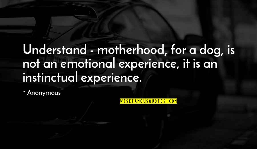 Griffioen Quotes By Anonymous: Understand - motherhood, for a dog, is not Griffioen Quotes By Anonymous: Understand - motherhood, for a dog, is not