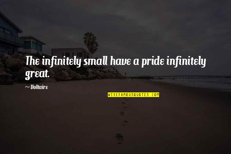 Griffor Test Quotes By Voltaire: The infinitely small have a pride infinitely great.