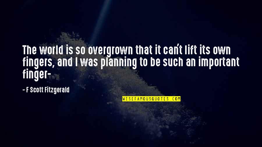 Grigore Vieru Quotes By F Scott Fitzgerald: The world is so overgrown that it can't