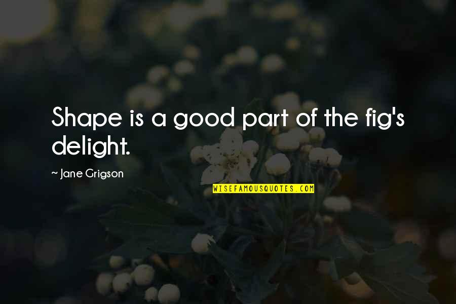 Grigson V Quotes By Jane Grigson: Shape is a good part of the fig's