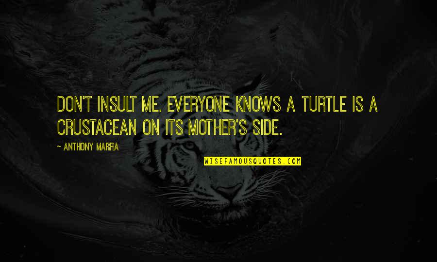 Grijeh Text Quotes By Anthony Marra: Don't insult me. Everyone knows a turtle is