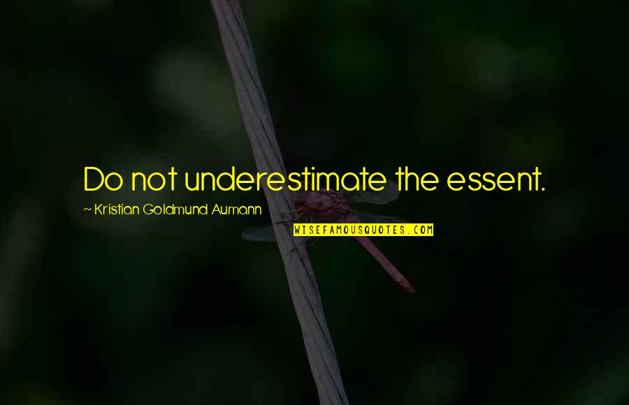 Grijete Quotes By Kristian Goldmund Aumann: Do not underestimate the essent.