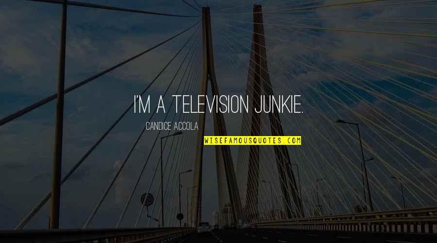 Grijze Jager Quotes By Candice Accola: I'm a television junkie. Grijze Jager Quotes By Candice Accola: I'm a television junkie.