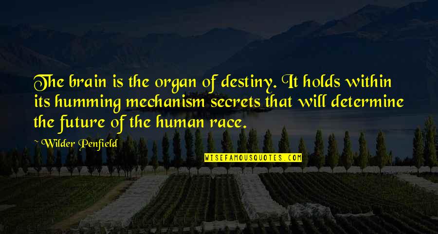 Grilled Salmon Quotes By Wilder Penfield: The brain is the organ of destiny. It Grilled Salmon Quotes By Wilder Penfield: The brain is the organ of destiny. It