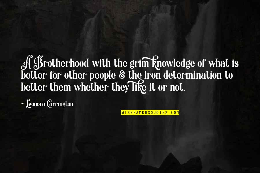 Grim Quotes By Leonora Carrington: A Brotherhood with the grim knowledge of what Grim Quotes By Leonora Carrington: A Brotherhood with the grim knowledge of what