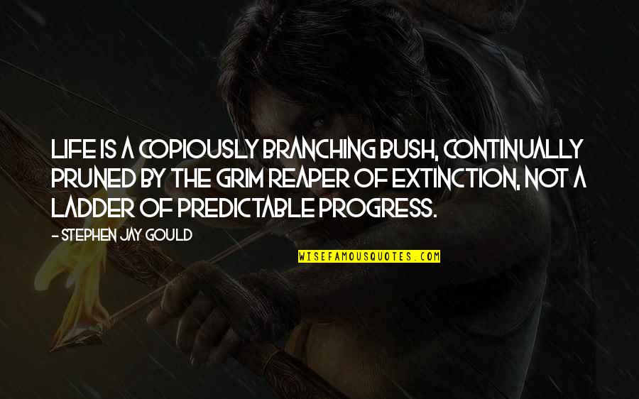 Grim Reaper Quotes By Stephen Jay Gould: Life is a copiously branching bush, continually pruned