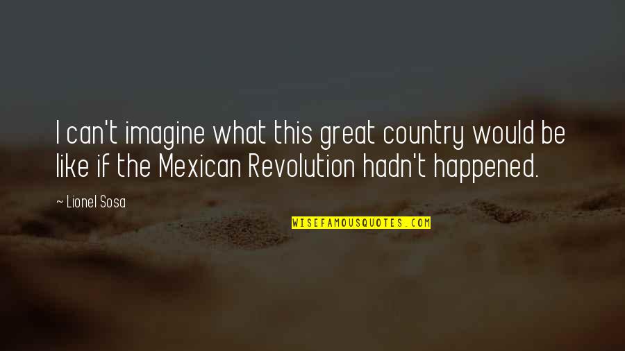 Grimaud Quotes By Lionel Sosa: I can't imagine what this great country would Grimaud Quotes By Lionel Sosa: I can't imagine what this great country would