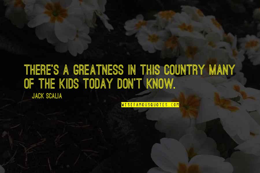 Grimdark Eridan Quotes By Jack Scalia: There's a greatness in this country many of