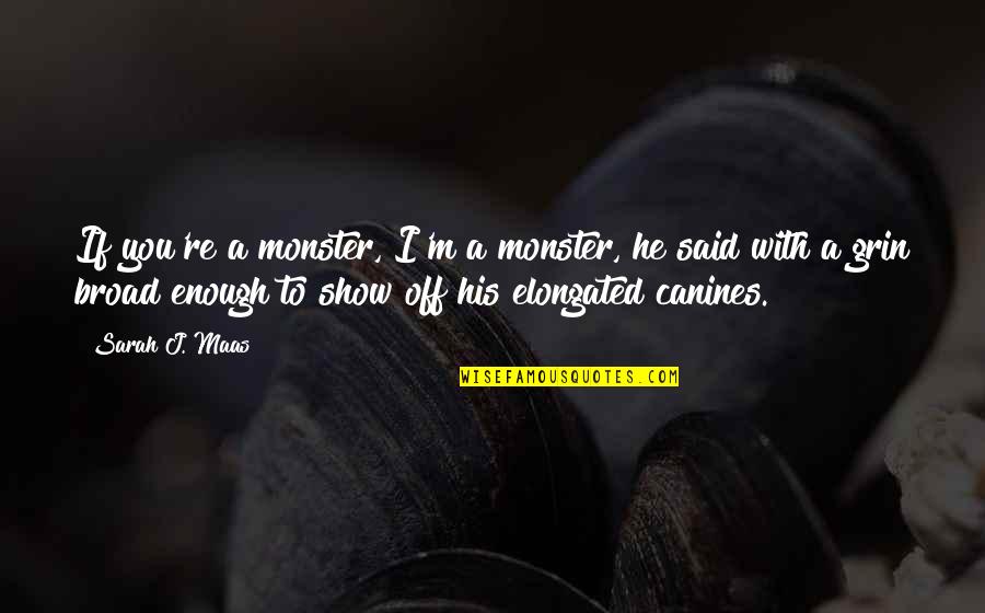 Grin Quotes By Sarah J. Maas: If you're a monster, I'm a monster, he