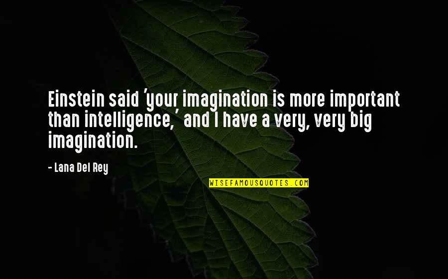Grindheim Norway Quotes By Lana Del Rey: Einstein said 'your imagination is more important than Grindheim Norway Quotes By Lana Del Rey: Einstein said 'your imagination is more important than