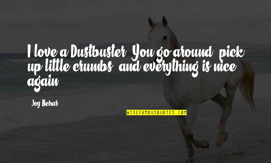 Grinding Hard Quotes By Joy Behar: I love a Dustbuster. You go around, pick