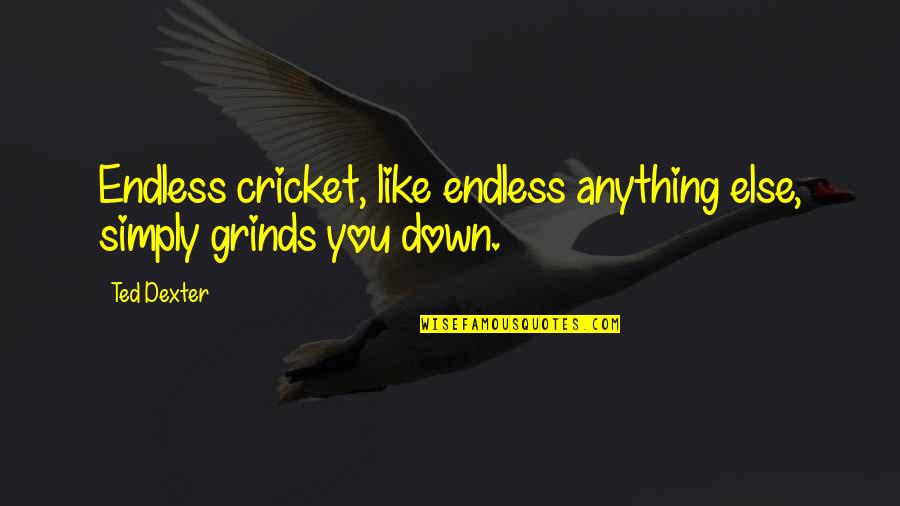 Grinds Quotes By Ted Dexter: Endless cricket, like endless anything else, simply grinds