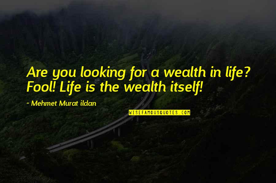 Gringoire Poems Quotes By Mehmet Murat Ildan: Are you looking for a wealth in life?