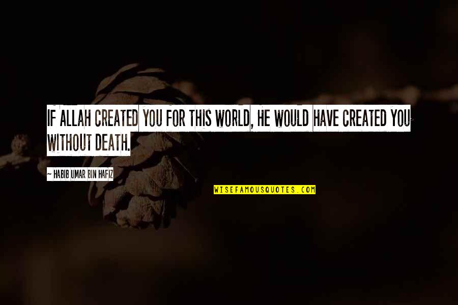 Griots Detailing Quotes By Habib Umar Bin Hafiz: If Allah created you for this world, He