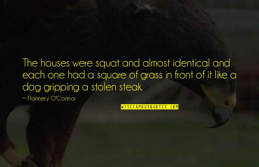 Gripping Quotes By Flannery O'Connor: The houses were squat and almost identical and