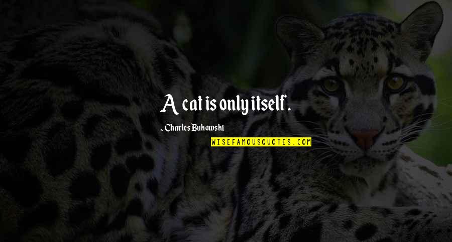 Griz Song Quotes By Charles Bukowski: A cat is only itself.