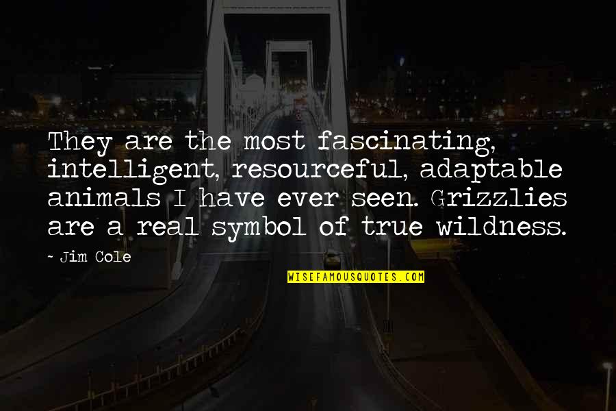 Grizzlies Quotes By Jim Cole: They are the most fascinating, intelligent, resourceful, adaptable