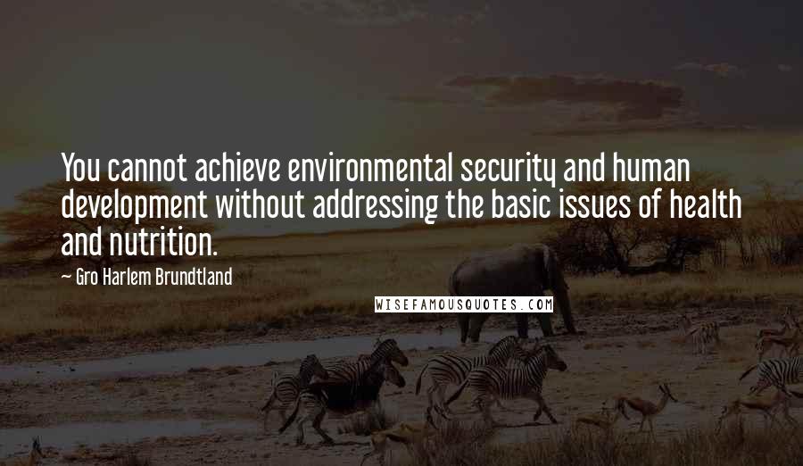 Gro Harlem Brundtland quotes: You cannot achieve environmental security and human development without addressing the basic issues of health and nutrition.