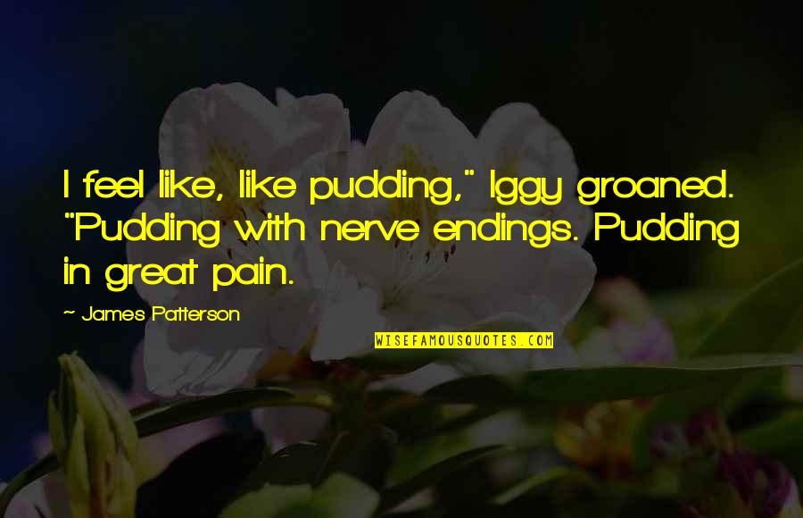 Groaned Quotes By James Patterson: I feel like, like pudding," Iggy groaned. "Pudding
