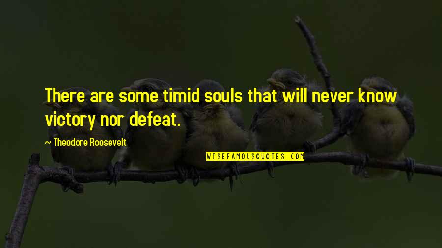 Groast Quotes By Theodore Roosevelt: There are some timid souls that will never