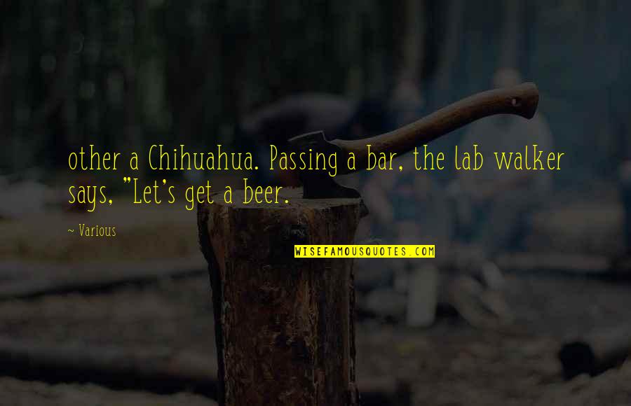 Grober Nutrition Quotes By Various: other a Chihuahua. Passing a bar, the lab