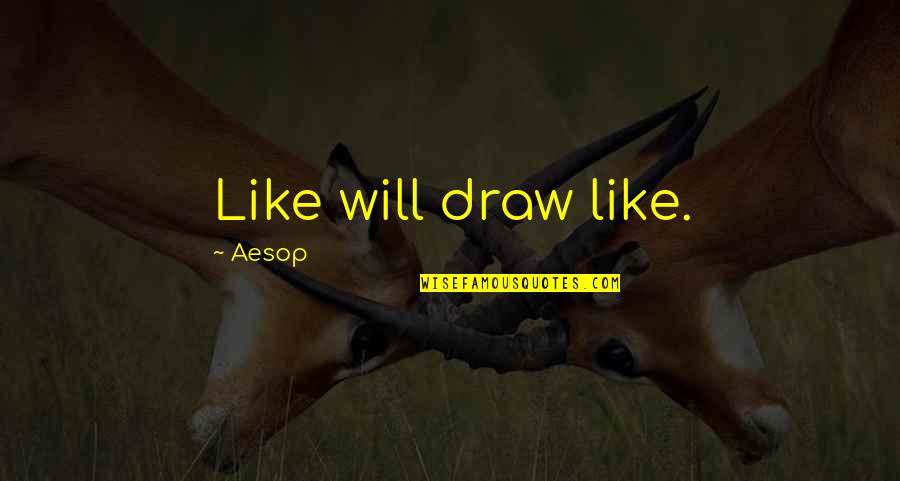 Groene Specht Quotes By Aesop: Like will draw like. Groene Specht Quotes By Aesop: Like will draw like.