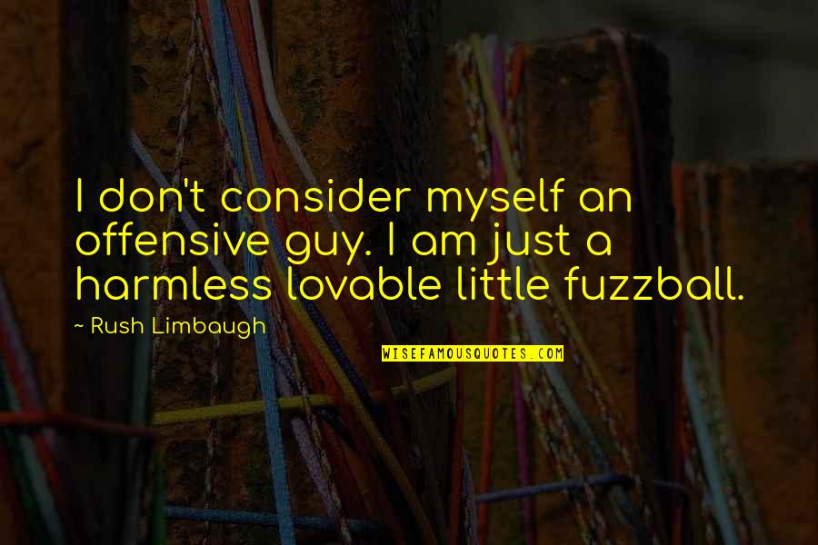 Groeneweg Construction Quotes By Rush Limbaugh: I don't consider myself an offensive guy. I Groeneweg Construction Quotes By Rush Limbaugh: I don't consider myself an offensive guy. I