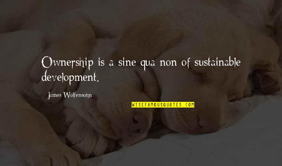 Groenewold Quotes By James Wolfensohn: Ownership is a sine qua non of sustainable