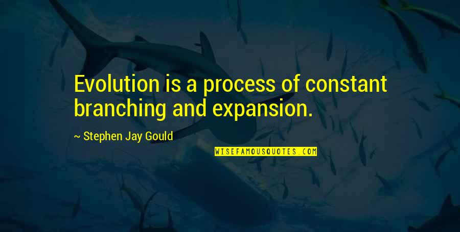 Groleau Rebecca Quotes By Stephen Jay Gould: Evolution is a process of constant branching and