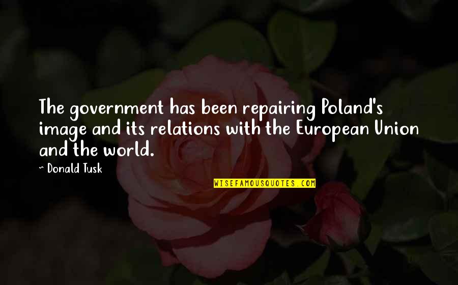 Groot Quotes By Donald Tusk: The government has been repairing Poland's image and