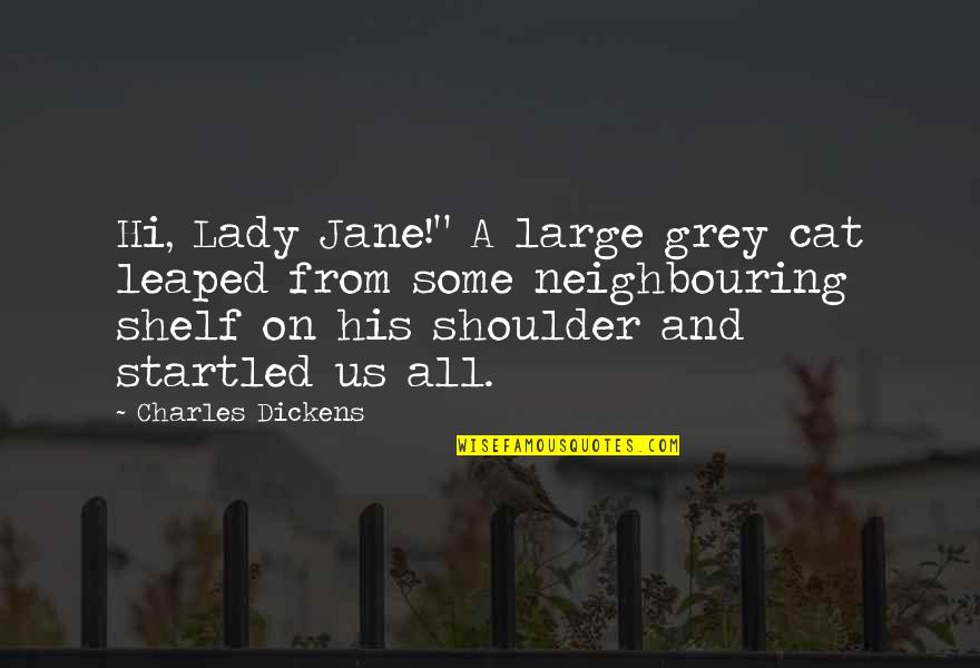 Groove Metal Quotes By Charles Dickens: Hi, Lady Jane!" A large grey cat leaped