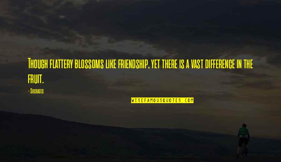 Grooved Tongue Quotes By Socrates: Though flattery blossoms like friendship, yet there is