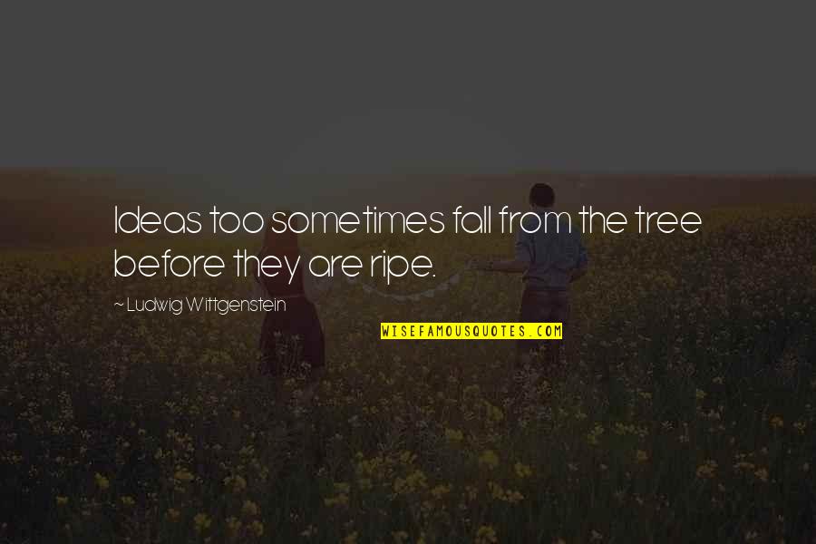 Grosskreutz Shooting Quotes By Ludwig Wittgenstein: Ideas too sometimes fall from the tree before Grosskreutz Shooting Quotes By Ludwig Wittgenstein: Ideas too sometimes fall from the tree before