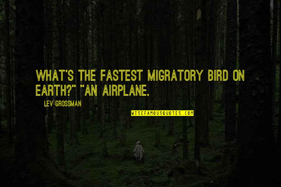 Grossman Quotes By Lev Grossman: What's the fastest migratory bird on Earth?" "An