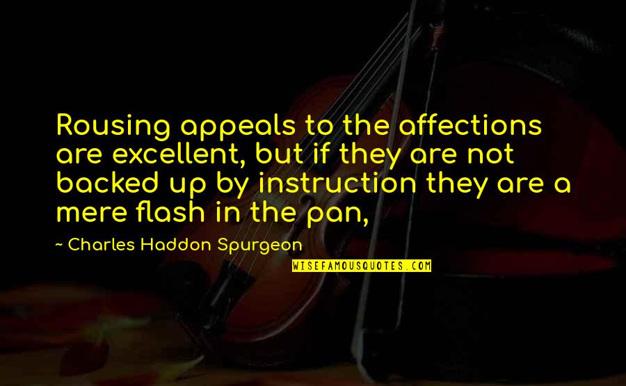 Grotesquerie Quotes By Charles Haddon Spurgeon: Rousing appeals to the affections are excellent, but