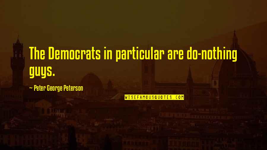 Grottiest Quotes By Peter George Peterson: The Democrats in particular are do-nothing guys.