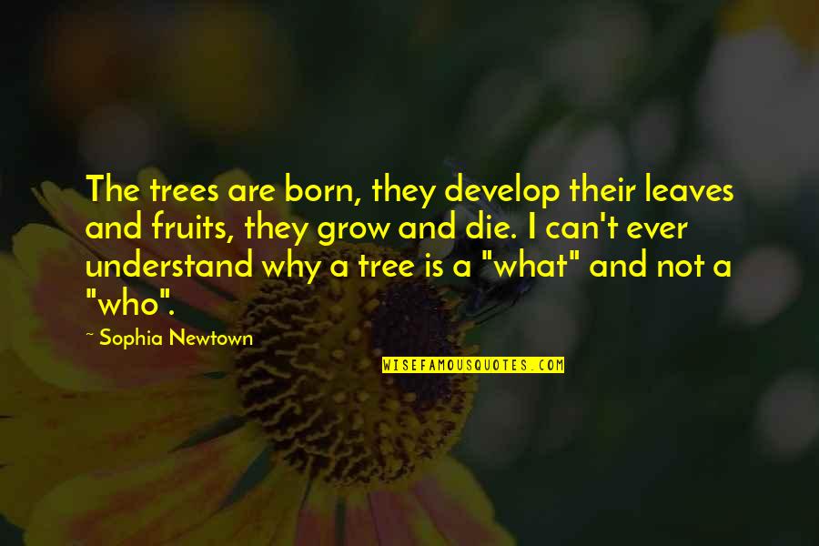 Grotton Sign Quotes By Sophia Newtown: The trees are born, they develop their leaves Grotton Sign Quotes By Sophia Newtown: The trees are born, they develop their leaves