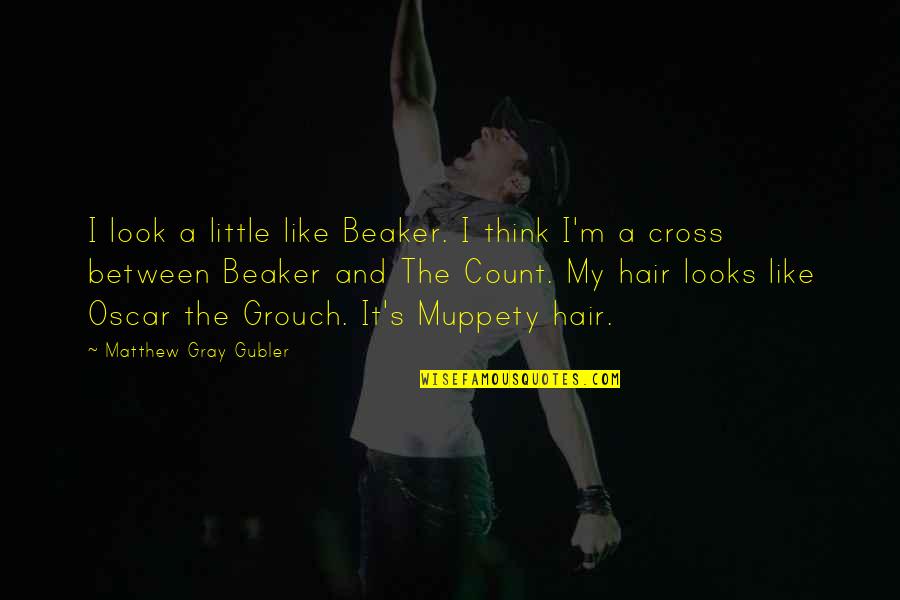 Grouch Quotes By Matthew Gray Gubler: I look a little like Beaker. I think