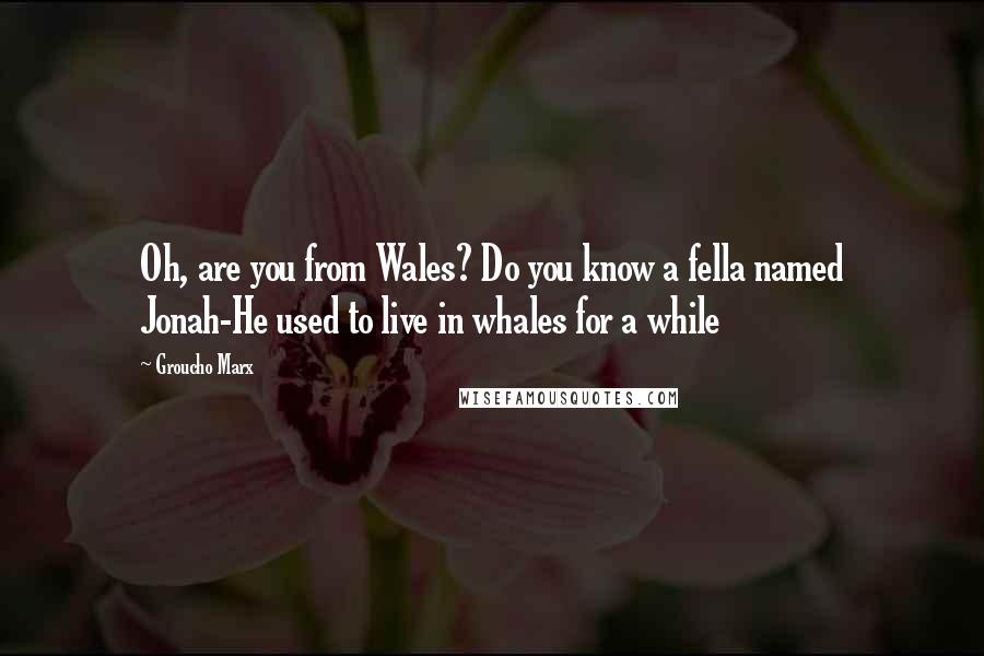 Groucho Marx quotes: Oh, are you from Wales? Do you know a fella named Jonah-He used to live in whales for a while