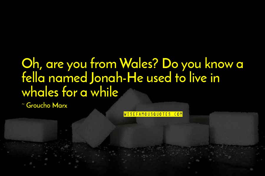 Groucho's Quotes By Groucho Marx: Oh, are you from Wales? Do you know