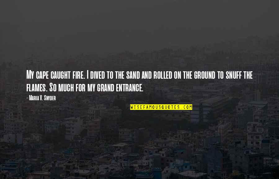 Ground Fire Quotes By Maria V. Snyder: My cape caught fire. I dived to the Ground Fire Quotes By Maria V. Snyder: My cape caught fire. I dived to the