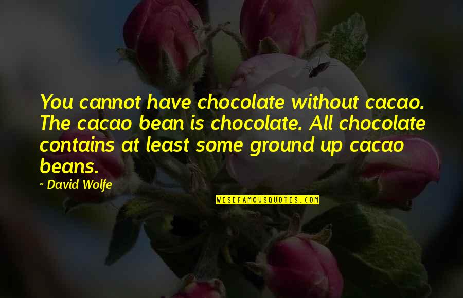 Ground Up Quotes By David Wolfe: You cannot have chocolate without cacao. The cacao Ground Up Quotes By David Wolfe: You cannot have chocolate without cacao. The cacao