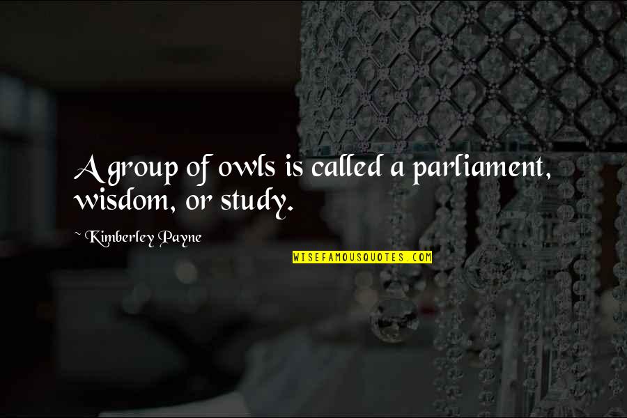 Group Activity Quotes By Kimberley Payne: A group of owls is called a parliament,